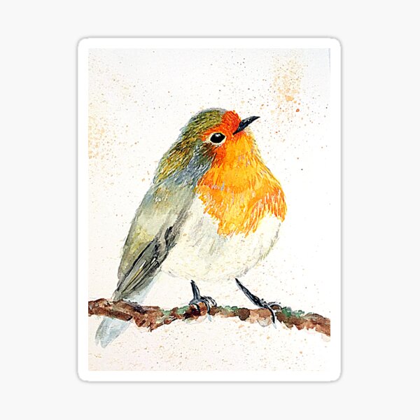 Cheeky little Red Robin Sticker