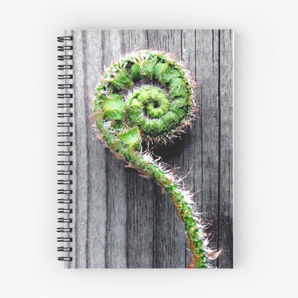 Item preview, Spring Fern designed and sold by Allison Lane.