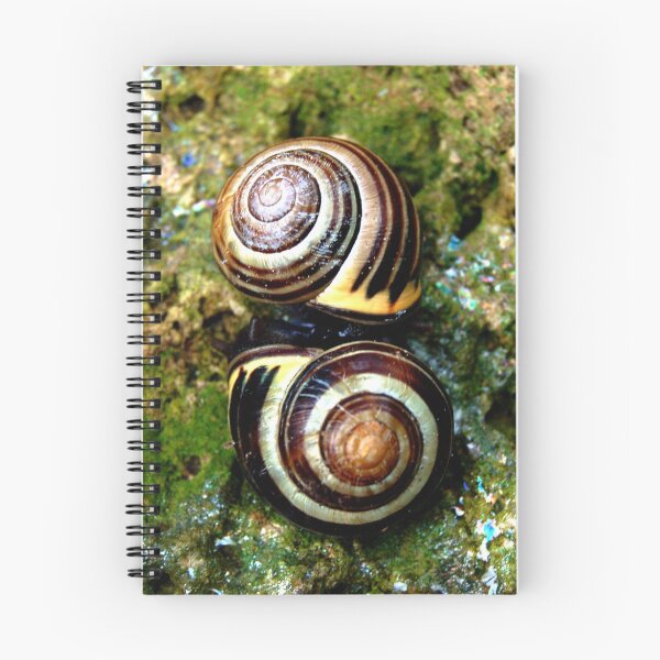 Item preview, Snail Lovin' designed and sold by Allison Lane.