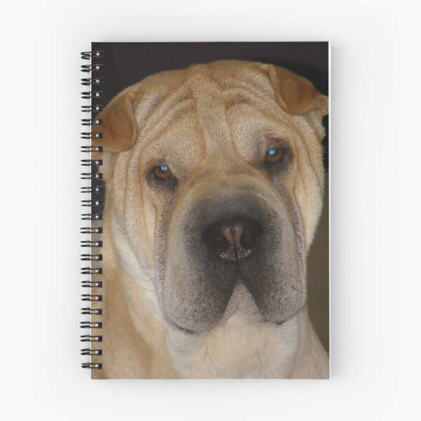 Item preview, My Boy, Tico designed and sold by Sue  Fuller.