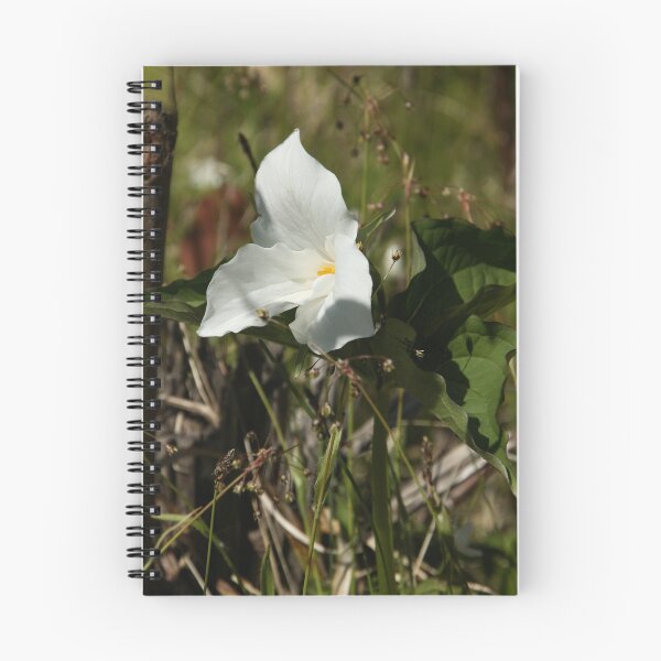Item preview, Trillium  designed and sold by Tammy Drombolis.