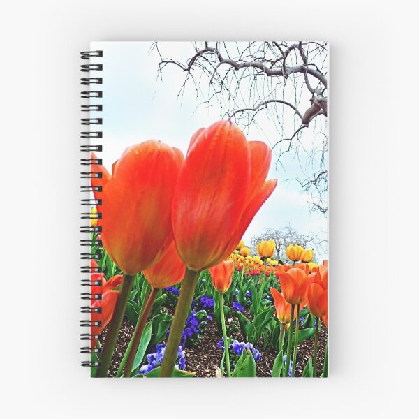 Item preview, Winter Waning and Spring Emerging © designed and sold by jansnow.