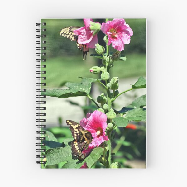 Aperçu de l'œuvre HOLLYHOCK  &  BUTTERFLIES créée et vendue par cdudak.
