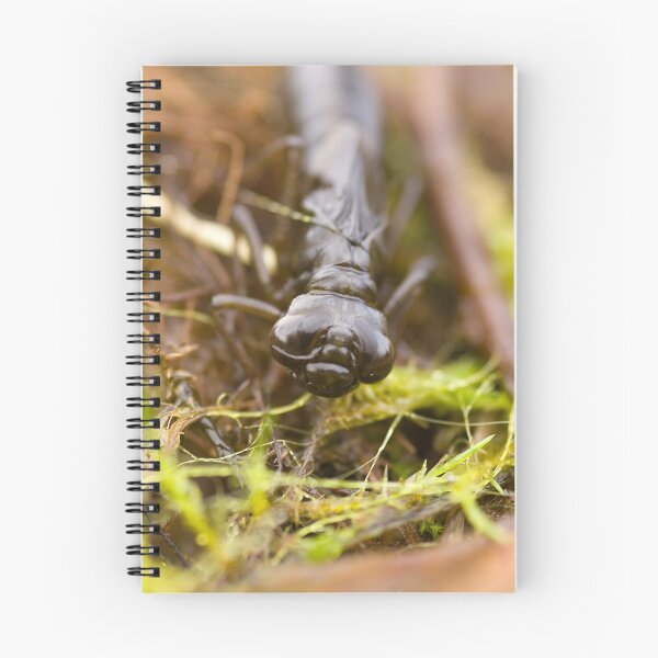 Artikelvorschau, Dragonfly larvae entworfen und verkauft von Jon Lees.
