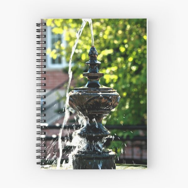 Item preview, Small Water Fountain designed and sold by terrebo.