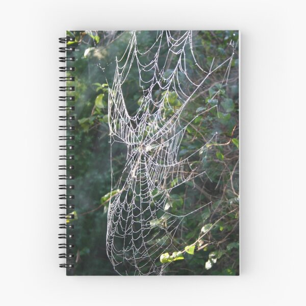 Item preview, Dewed Cobweb designed and sold by Samantha Bailey.