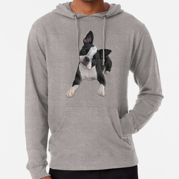 Boston cheap terrier sweatshirt