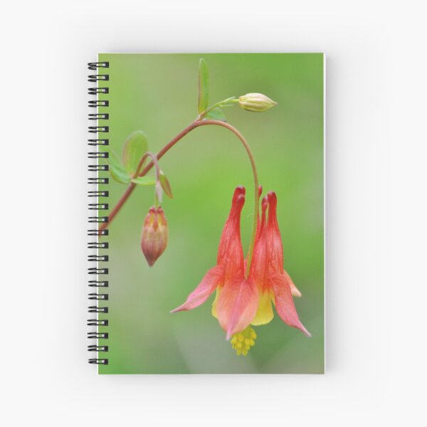 Woodland Beauty Spiral Notebook