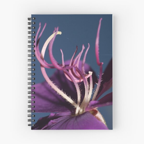Item preview, Tibouchina designed and sold by EverChanging1.