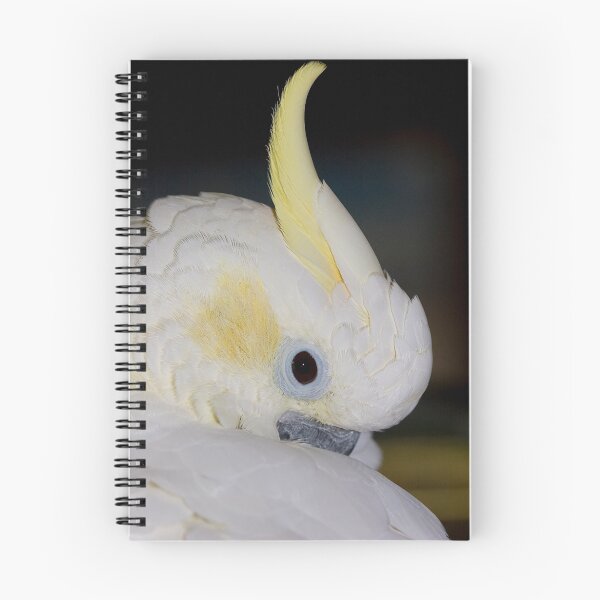 Item preview, Just preening! designed and sold by Carole Stevens.