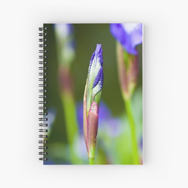 Purple Iris Bud (Iris versicolor) Spiral Notebook
