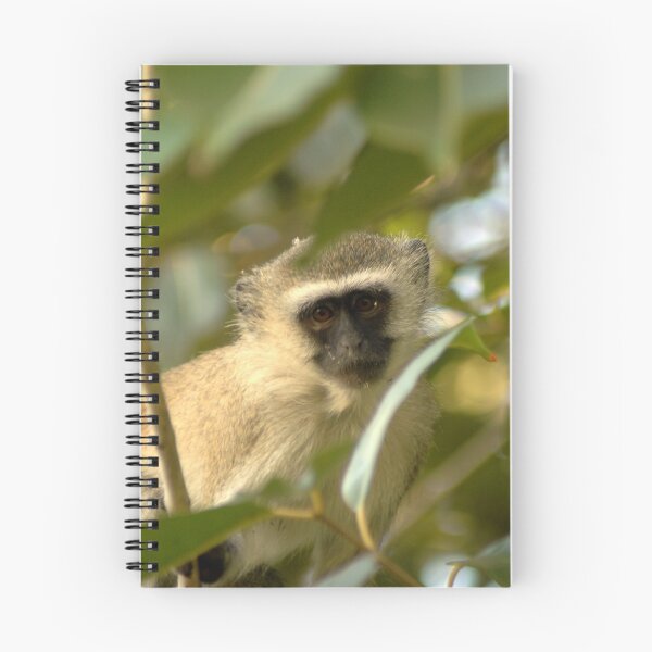 Artikelvorschau, Monkey Buisness entworfen und verkauft von DUNCAN DAVIE.