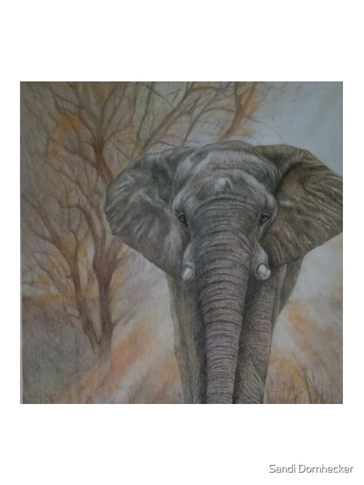 Bull elephant "Morning Stroll" by SandiDornhecker