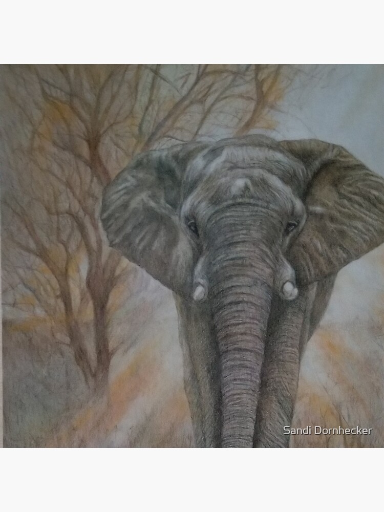 Bull elephant "Morning Stroll" by SandiDornhecker