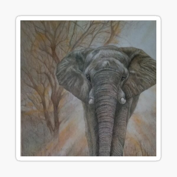 Bull elephant "Morning Stroll" Sticker