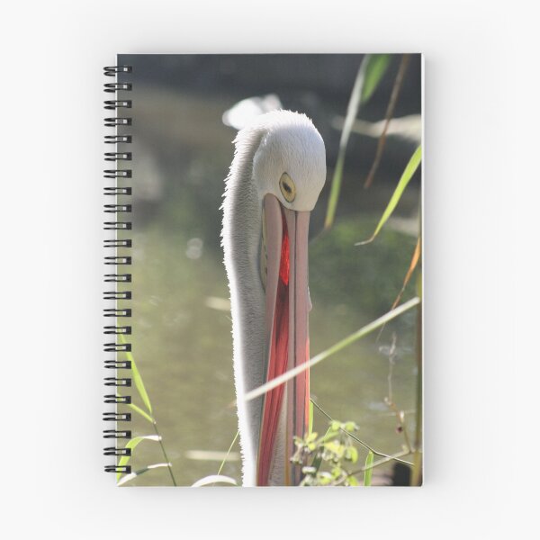Item preview, Pelican designed and sold by Joy Watson - Natural Light Photography .