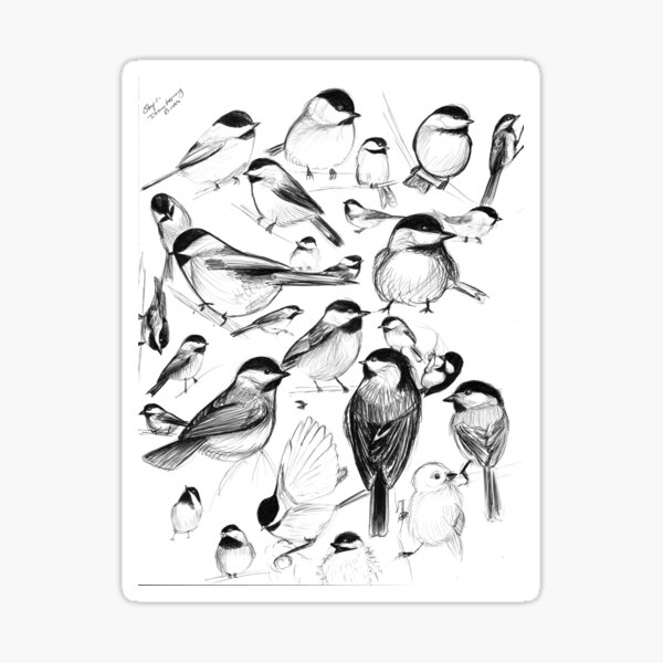 Item preview, Chickadee Study designed and sold by Kristin Thornton.