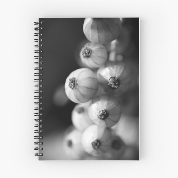 Aperçu de l'œuvre Seed Pod créée et vendue par Mike Weeks.
