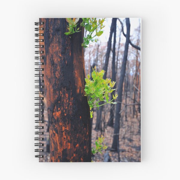 Item preview, Life After designed and sold by John  Kowalski.