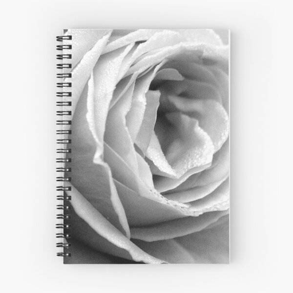 Item preview, By The Light Of The Rose designed and sold by Samantha Higgs.