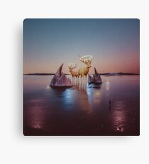 Infinity (Part 2) - Experiment 14.5 Canvas Print