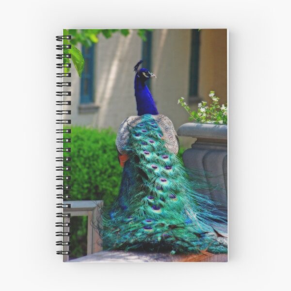 Item preview, MAJESTIC PEACOCK designed and sold by mlynnd.