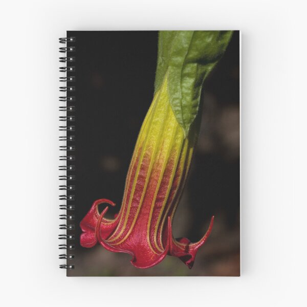 Item preview, Red Bell designed and sold by margotk.