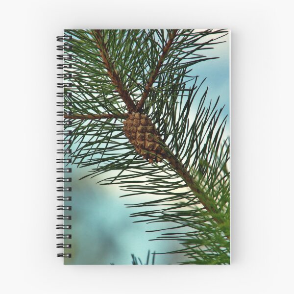 Item preview, Pine Cones designed and sold by MarianaEwa.