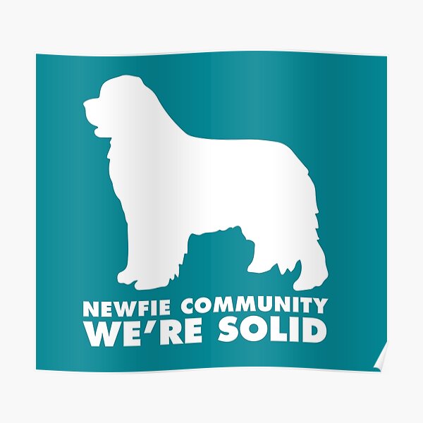 Newfie Community: We're Solid Poster