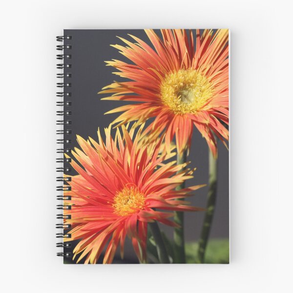 Item preview, SUNBURST designed and sold by cdudak.
