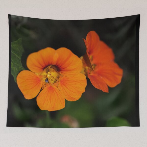 Item preview, Bright and Beautiful Nasturtiums designed and sold by imaginethis.