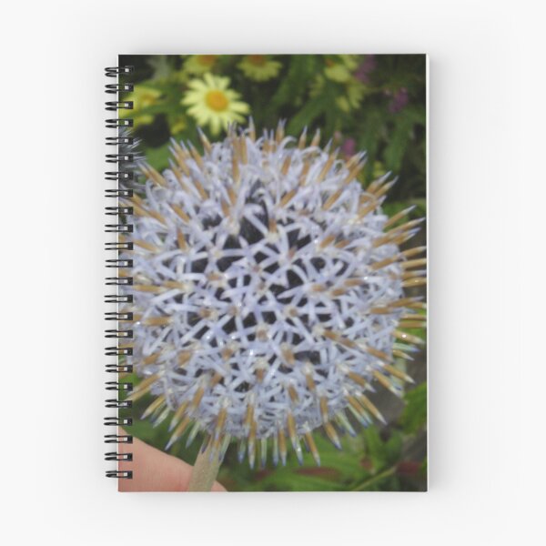 Item preview, perfection designed and sold by scara24.
