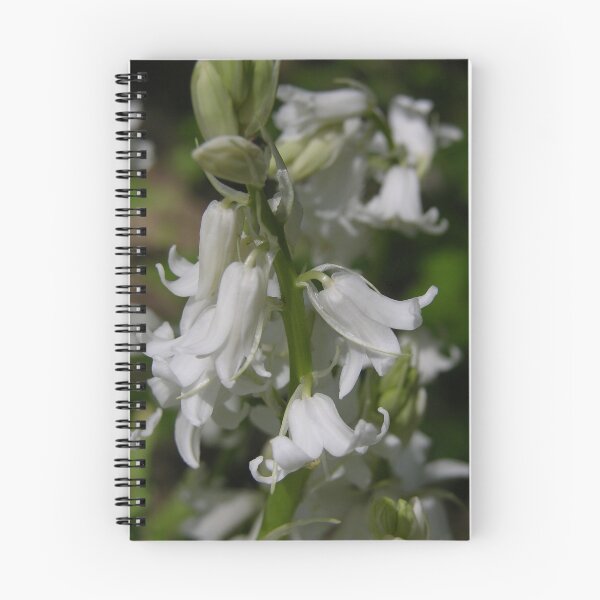 Item preview, Whitebell designed and sold by Lindamell.