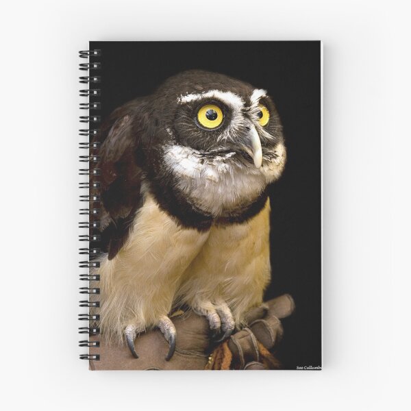 Item preview, Spectacled Owl designed and sold by Sue  Cullumber.