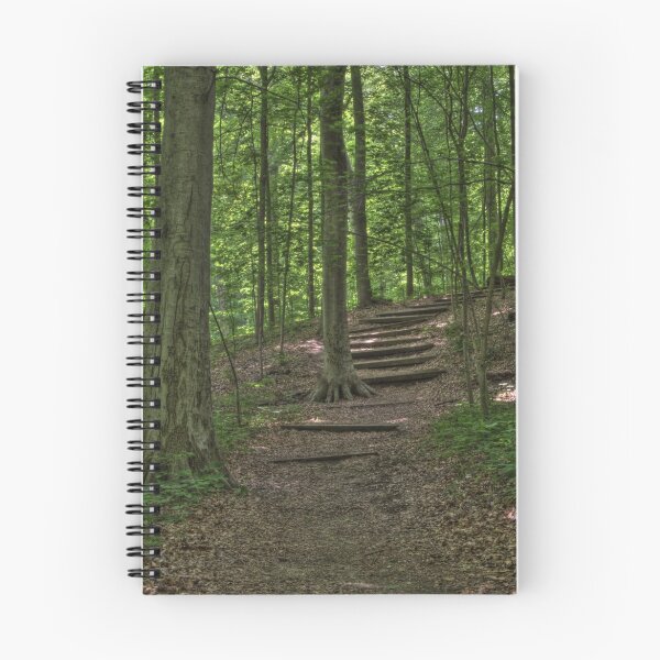 Artikelvorschau, Forest Path entworfen und verkauft von Jeff VanDyke.