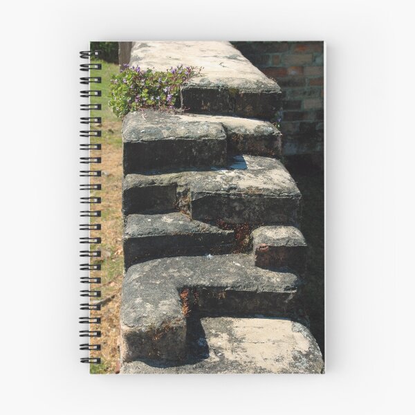 Artikelvorschau, Wall Stairway entworfen und verkauft von Alison Badgery.