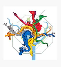 Dragon DC Metro Map Photographic Print