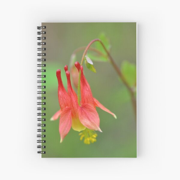 Wild Columbine Spiral Notebook