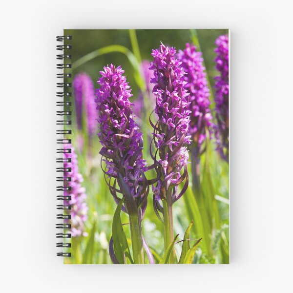 Item preview, Early Marsh Orchid (Dactylorhiza incarnata) designed and sold by Steve Chilton.