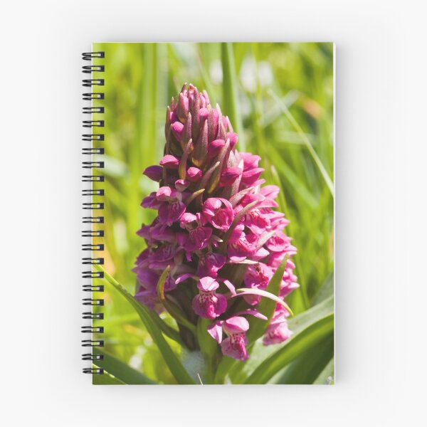 Artikelvorschau, Southern Marsh Orchid (Dactylorhiza praetermissa) entworfen und verkauft von Steve Chilton.