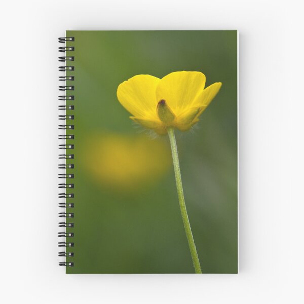 Item preview, Meadow Buttercup (Ranunculus acris) designed and sold by Steve Chilton.