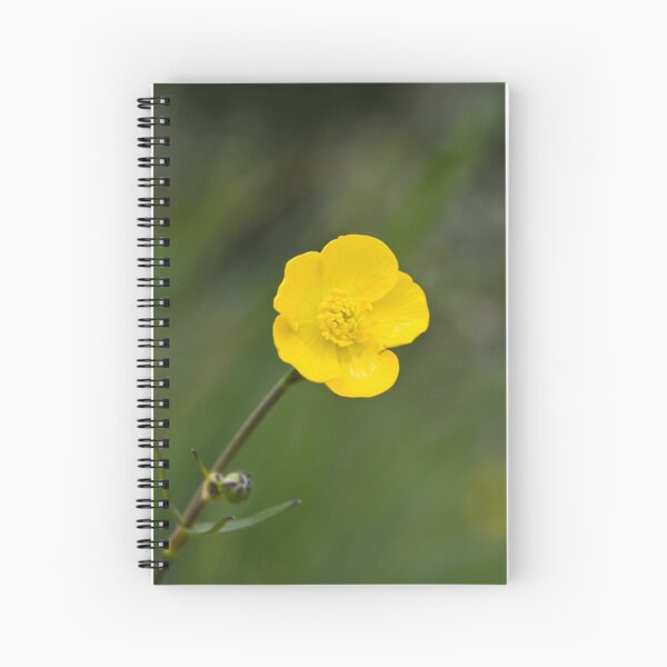 Meadow Buttercup (Ranunculus acris) Spiral Notebook