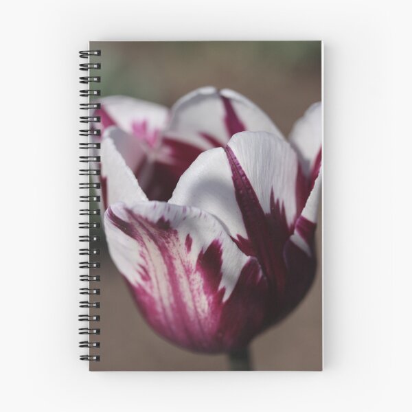 Item preview, Taffy designed and sold by camerahappy.
