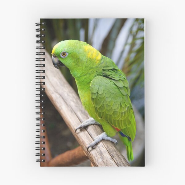 Item preview, Psst...Hey Buddy... designed and sold by Charles Dobbs Photography.