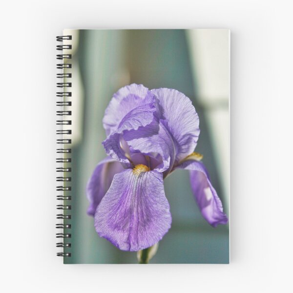 Item preview, Iris designed and sold by GPMPhotography.