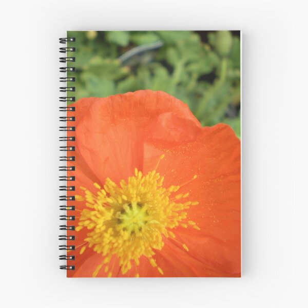 Aperçu de l'œuvre Orange Poppy Macro créée et vendue par TabithaPayne.
