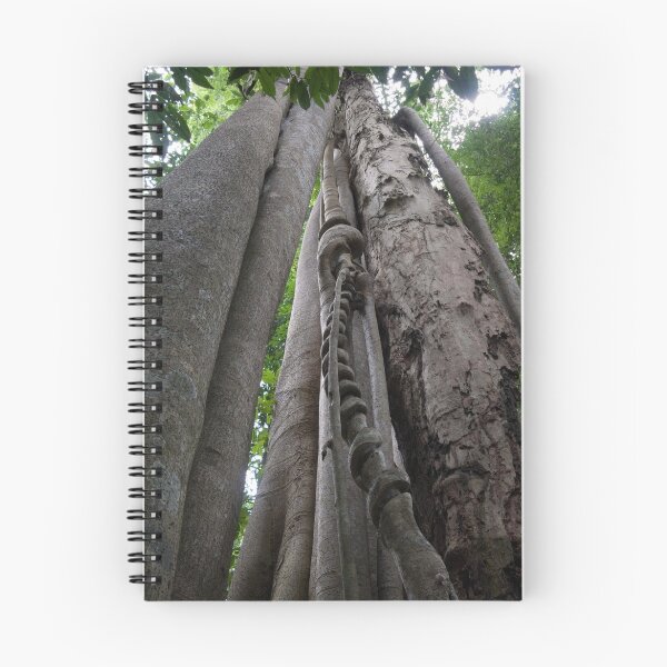 Artikelvorschau, Entanglement entworfen und verkauft von Michael Hood.