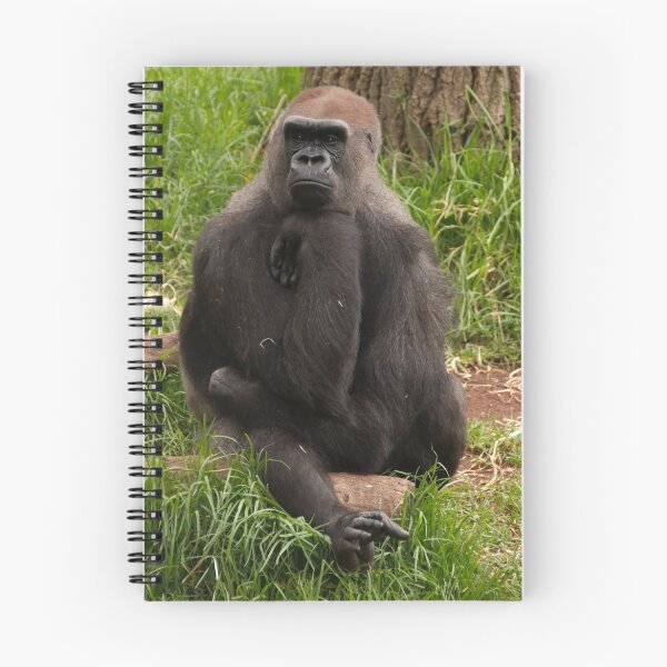 Item preview, The Thinker designed and sold by rflower.