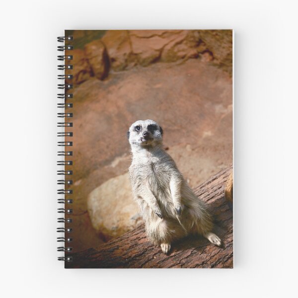 Aperçu de l'œuvre Hi, I'm a Meerkat créée et vendue par Erin  Sadler.