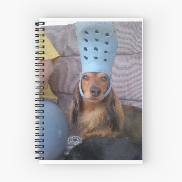 Item preview, dog wearing a croc designed and sold by madgeik.